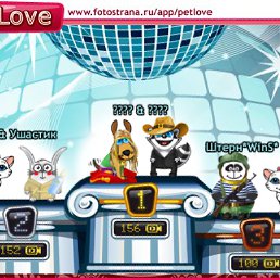 ���� �����, ����������, 43 ���� - ��������� 12 ������ 2011