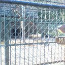  D.s., , 38  -  28  2011    2010, 