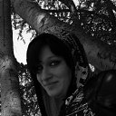 ���� �����, ��������, 36 ��� - ��������� 28 ������� 2012