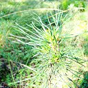 ���� �������, ������� - ��������� 10 ������ 2010 � ������ �� ����...�