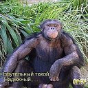 ���� �������, ������, 49 ��� - ��������� 4 ������� 2012 � ������ ���� ����������