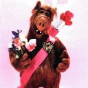 ���� ����, �������, 61 ��� - ��������� 26 ������� 2011 � ������ �28 ��� 2010�