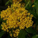  , , 72  -  11  2013     λ