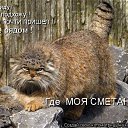 ���� ��������, ��������������, 57 ��� - ��������� 12 ������� 2009 � ������ �����������