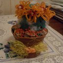 ���� �����������, �����-���������, 52 ���� - ��������� 6 ����� 2011 � ������ ���� ������ ��� ������� ����