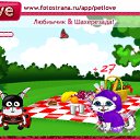 , , 24  -  2  2010   PetLove