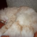 ���� �������, ��������, 57 ��� - ��������� 25 ������ 2013