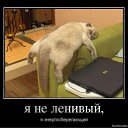 ���� ����, �����-���������, 61 ��� - ��������� 12 ���� 2012 � ������ ���� ����������