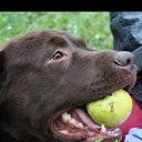 ���� �����, ������� - ��������� 1 ������� 2012 � ������ ���������� ������