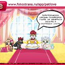  ......., , 34  -  12  2010   PetLove