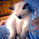 ���� �������, ��������� - ��������� 26 ������ 2013 � ������ ����������))�