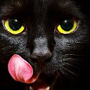 ���� ��������, �����������, 63 ���� - ��������� 5 ������ 2012 � ������ �������