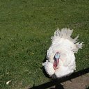 ���� ������, ����, 64 ���� - ��������� 5 ���� 2011 � ������ ����������