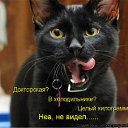 ���� ����, ������, 52 ���� - ��������� 18 ������� 2009 � ������ �������� �����