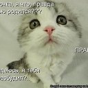 ���� ������ �����, ������, 24 ���� - ��������� 9 ���� 2011 � ������ ������