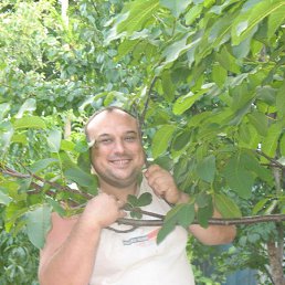 �������, ����, 55 ���