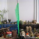 ���� ������, ������, 69 ��� - ��������� 5 ������ 2013 � ������ ���� ��������� ����������