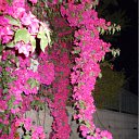 ���� ����, �����, 60 ��� - ��������� 9 ���� 2012 � ������ ��Ψ ����������� � ������ܻ