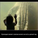 ���� ������ ��������, ������ - ��������� 8 ����� 2013 � ������ ���������