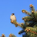  ok, --, 44  -  27  2010   