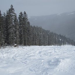 ���� ������, �����������-��-����� - ��������� 1 ������� 2012