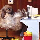 ���� Larky(��������� � �����!), �����������, 41 ��� - ��������� 18 ������� 2010