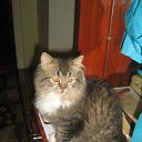 ���� Mikhail, ������� - ��������� 8 ������� 2012 � ������ ���� ����������