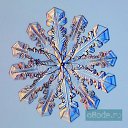 ���� �������, ������, 41 ��� - ��������� 9 ������� 2009 � ������ ���������