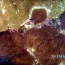 ���� ����, �������-��������� - ��������� 30 ������ 2012 � ������ ��� �������� �������. �.������ ������2012�.�