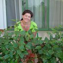 ���� ���������, ��������, 50 ��� - ��������� 5 ����� 2011