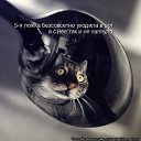 ���� ����, �����, 50 ��� - ��������� 5 ���� 2010 � ������ ������������