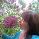 ���� ����, �������, 61 ��� - ��������� 8 ��� 2013 � ������ ���� ����������