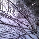 ���� Michael, ������, 57 ��� - ��������� 12 ���� 2010