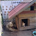 ���� �����, ������, 55 ��� - ��������� 3 ������� 2011 � ������ �������