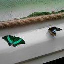  , --, 36  -  3  2011   