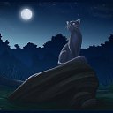  , , 24  -  5  2012   PetLove
