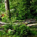 ���� ���, �����-���������, 35 ��� - ��������� 9 ������� 2008 � ������ ���� ����������