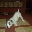 ���� ���, ������, 50 ��� - ��������� 10 �������� 2010 � ������ ������� ��......�