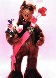 ���� ����, �������, 61 ��� - ��������� 26 ������� 2011