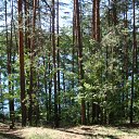 ���� �������, ������, 64 ���� - ��������� 24 ���� 2012 � ������ ������ ������