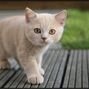 ���� ������, ��������������, 25 ��� - ��������� 12 ����� 2011 � ������ ������