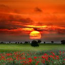 ���� Margarita, ������ - ��������� 19 �������� 2011 � ������ ��������