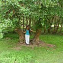 ���� �����, ���������, 52 ���� - ��������� 7 �������� 2011 � ������ ���� ����������