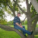 ���� �����, ����, 44 ���� - ��������� 17 ������ 2009 � ������ ���� ����������