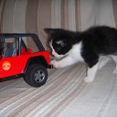 ���� ����, ������-��-����, 24 ���� - ��������� 17 ����� 2010 � ������ �������