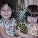 ���� �������� �����������, ����������, 48 ��� - ��������� 24 �������� 2012 � ������ ���� ����������