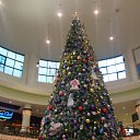 ���� Andrey, �����������, 39 ��� - ��������� 20 ������ 2012