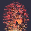 ���� ���������, ������ �������� - ��������� 21 ���� 2013 � ������ ������ ��������