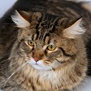 ���� �������, �����������, 61 ��� - ��������� 19 ���� 2010 � ������ �������