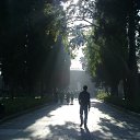 ���� ���������, �����, 51 ��� - ��������� 15 ������ 2010 � ������ ��������. ������ 2010�